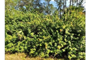 HAVEMEYER ST, NORTH PORT, FL 34288 - MLS#MFRO6186812