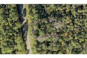 HAVEMEYER ST, NORTH PORT, FL 34288 - MLS#MFRO6186812