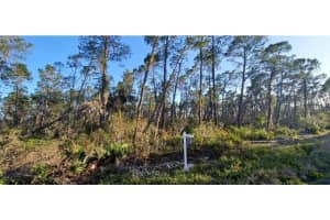 461 Nightingale Ave, SEBRING 461 Nightingale Ave, SEBRING