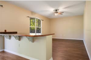 805 ROCKY MOUNTAIN COURT, VALRICO, FL 33594 Sold 06/17/24