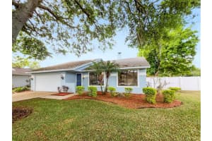 5830 SILVER MOON AVENUE, TAMPA, FL 33625 Sold 04/19/24