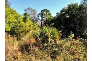 FIVELEAF RD, NORTH PORT, FL 34288 - MLS#MFRO6187560