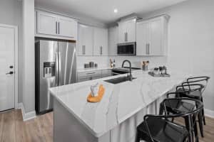 2715 CAMELLIA FLOWER STREET, APOPKA, FL 32703 Sold 12/18/24
