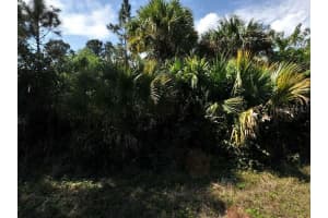 BUTTON ST, NORTH PORT, FL 34288 - MLS#MFRO6188368