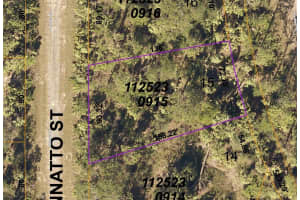 ANNATTO ST, NORTH PORT, FL 34288 - MLS#MFRO6188380
