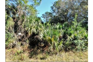ANNATTO ST, NORTH PORT, FL 34288 - MLS#MFRO6188380