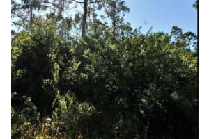 PINKLADY LN, NORTH PORT, FL 34288 - MLS#MFRO6188398
