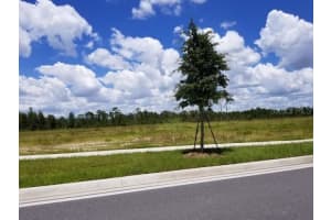 S APOPKA VINELAND RD, ORLANDO, FL 32821 - MLS#MFRO6188426
