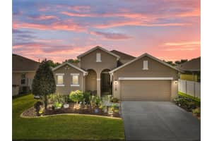 1309 ARONIMINIK DRIVE, MOUNT DORA, FL 32757 Sold 04/25/24