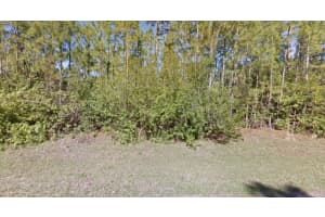 BLUELEAF DR, NORTH PORT, FL 34288 - MLS#MFRO6189410