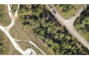 BLUELEAF DR, NORTH PORT, FL 34288 - MLS#MFRO6189410