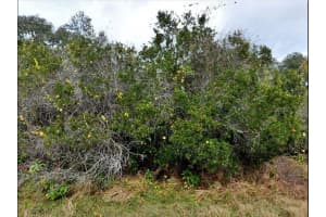 HAMER TER, NORTH PORT, FL 34291 - MLS#MFRO6189443