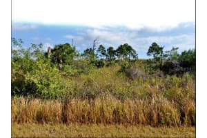 MANSFIELD CIR, NORTH PORT, FL 34288 - MLS#MFRO6189740