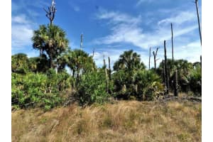FARVIEW DR, NORTH PORT, FL 34288 - MLS#MFRO6189755