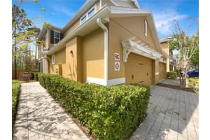 14264 DESERT HAVEN STREET, WINDERMERE, FL 34786 Sold 07/19/24