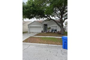 12522 DAWN VISTA DRIVE, RIVERVIEW, FL 33578 Sold 06/14/24