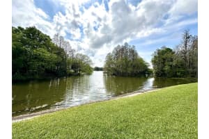 16518 BRIGADOON DRIVE, TAMPA, FL 33618 Sold 05/17/24