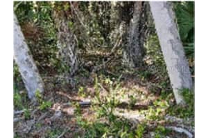 63 JUSTINE STREET, PORT CHARLOTTE, FL 33954 - MLS#MFRO6190190
