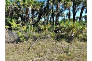 HIAWATHA TER, NORTH PORT, FL 34288 - MLS#MFRO6191394