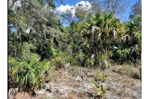 DUNMORE ST, NORTH PORT, FL 34288 - MLS#MFRO6191399