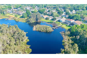7323 FULCRUM AVENUE, ORLANDO, FL 32812 Sold 07/13/24