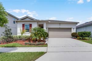 517 BUCHANNAN DRIVE, DAVENPORT, FL 33837 Sold 07/26/24