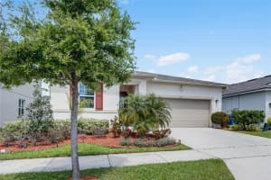 517 BUCHANNAN DRIVE, DAVENPORT, FL 33837 Sold 07/26/24