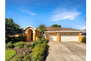 18720 FOREST GLEN COURT, TAMPA, FL 33647 Sold 12/05/24