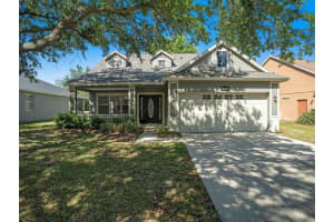 10832 NEWBRIDGE DRIVE, RIVERVIEW, FL 33579 Sold 07/25/24