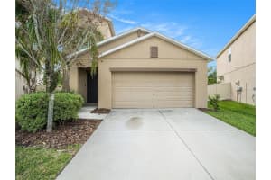 17049 PEACEFUL VALLEY DRIVE, WIMAUMA, FL 33598 Sold 02/04/25