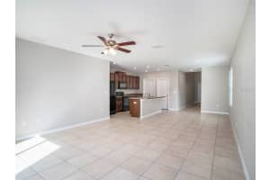 17049 PEACEFUL VALLEY DRIVE, WIMAUMA, FL 33598 Sold 02/04/25