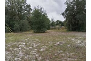 SHEELER OAKS DR, APOPKA, FL 32703 - MLS#MFRO6192615