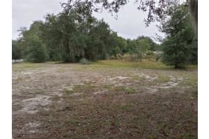 SHEELER OAKS DR, APOPKA, FL 32703 - MLS#MFRO6192615