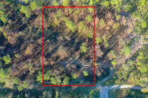217 PIGEON AVENUE, SEBRING, FL 33870 Sold 03/17/25