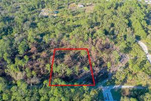 217 PIGEON AVENUE, SEBRING, FL 33870 Sold 03/17/25