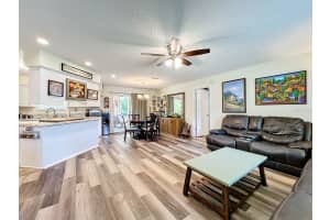 341 RIVER GLASS COURT, LEESBURG, FL 34788 Sold 08/12/24