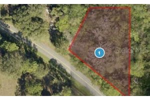 5111 EMPIRE CHURCH ROAD, GROVELAND, FL 34736 Sold 01/27/25