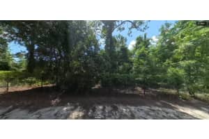 FORGE DRIVE, SPRING HILL, FL 34610 - MLS#MFRO6194700