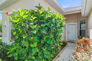 231 LOCKBREEZE DRIVE, DAVENPORT, FL 33897 Sold 06/21/24