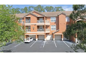 8824 VILLA VIEW CIRCLE, ORLANDO, FL 32821 Sold 06/26/24
