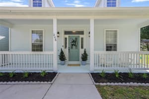 206 MATHER SMITH DRIVE, OAKLAND, FL 34760 Sold 05/15/24