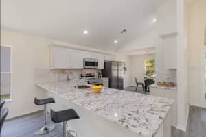 1136 BLUEGRASS DRIVE, GROVELAND, FL 34736 Sold 06/13/24