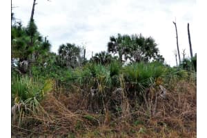 PIMENTO CIR, NORTH PORT, FL 34288 - MLS#MFRO6196385