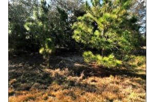 HOPE CT, NORTH PORT, FL 34288 - MLS#MFRO6197534