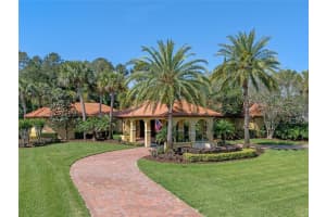 3130 BUTLER BAY DRIVE, WINDERMERE, FL 34786 Sold 05/29/24