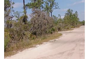 5525 OLIVE ROAD, SEBRING, FL 33875 Sold 06/03/25
