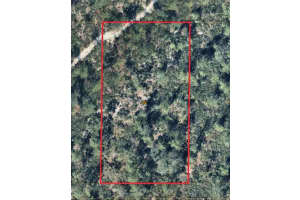 S APOPKA VINELAND RD, ORLANDO, FL 32821 - MLS#MFRO6198079