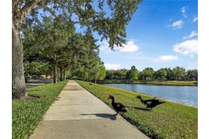 7178 MALEBERRY RUN, WINTER GARDEN, FL 34787 Sold 08/02/24