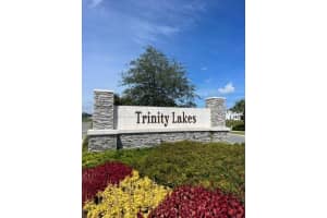 7176 DILLY LAKE AVENUE, GROVELAND, FL 34736 Sold 10/31/24