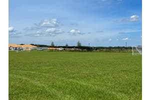 7176 DILLY LAKE AVENUE, GROVELAND, FL 34736 Sold 10/31/24